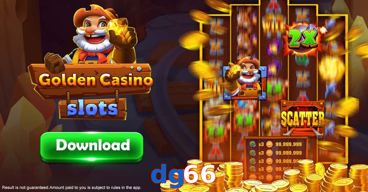 dg66