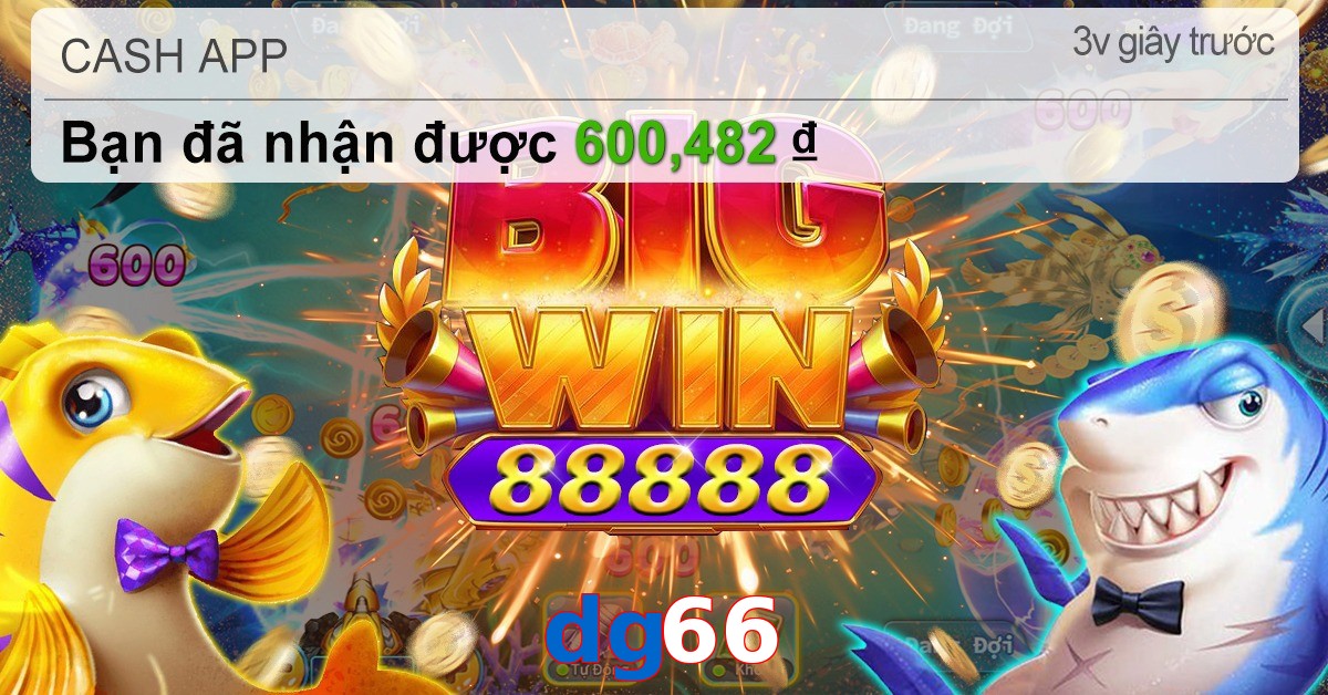 dg66